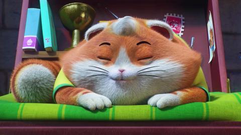 Watch 44 Cats